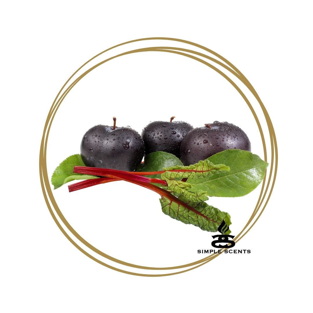 Black Plum & Rhubarb - Simple Scents Excellence Reed Diffuser
