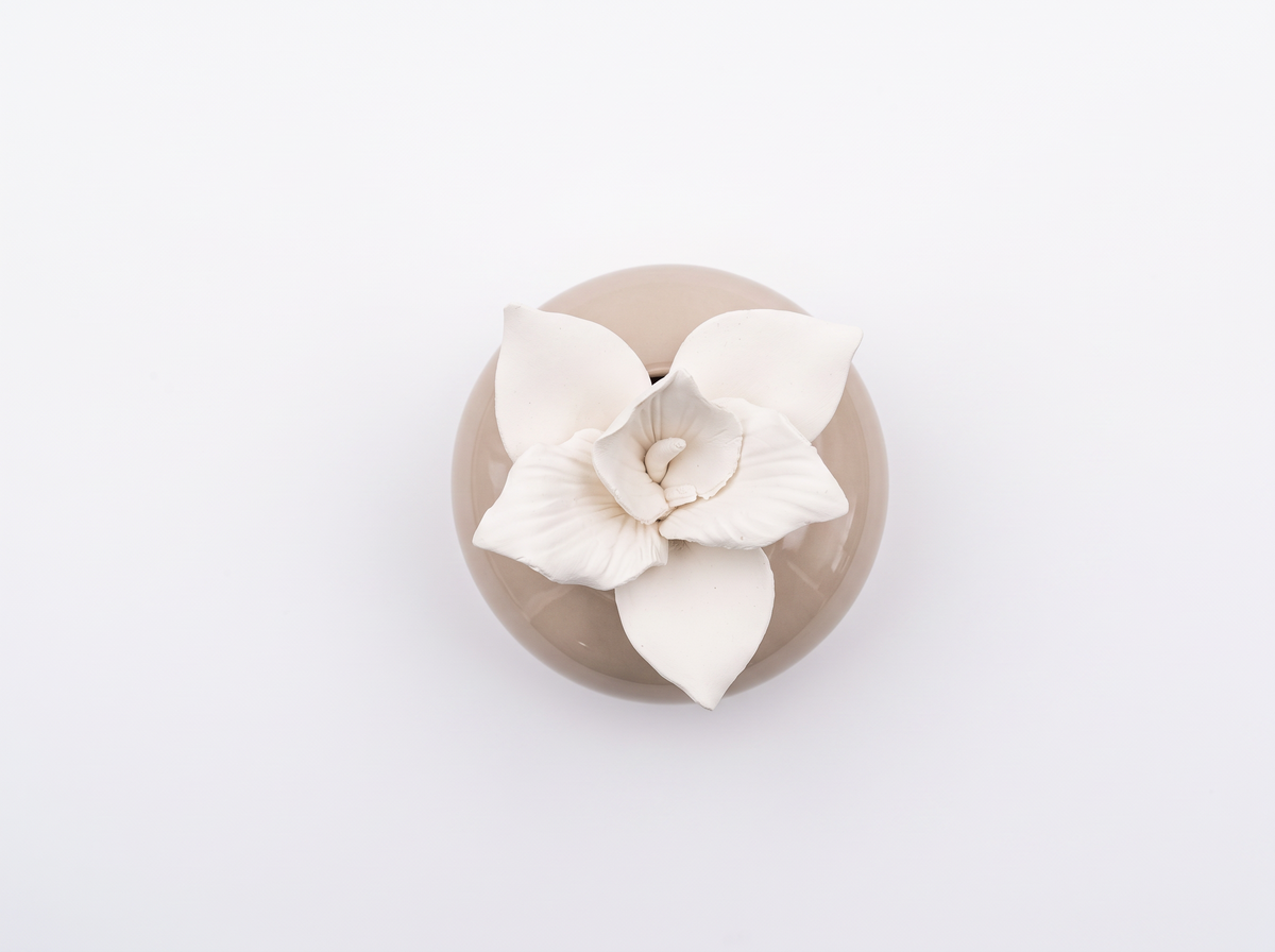 A small round beige ceramic dish with a glossy finish, topped with a sculpted white flower with layered petals, photographed from directly above on a seamless white background.