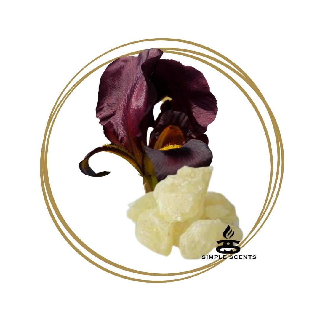 Black Iris & Musk - Simple Scents Ambience Large Twirl Style Wax Melts